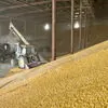 пшеница 5 класса,5000 тонн в Москве