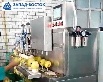 машина для чистки яблок 400 кг/ч в Москве