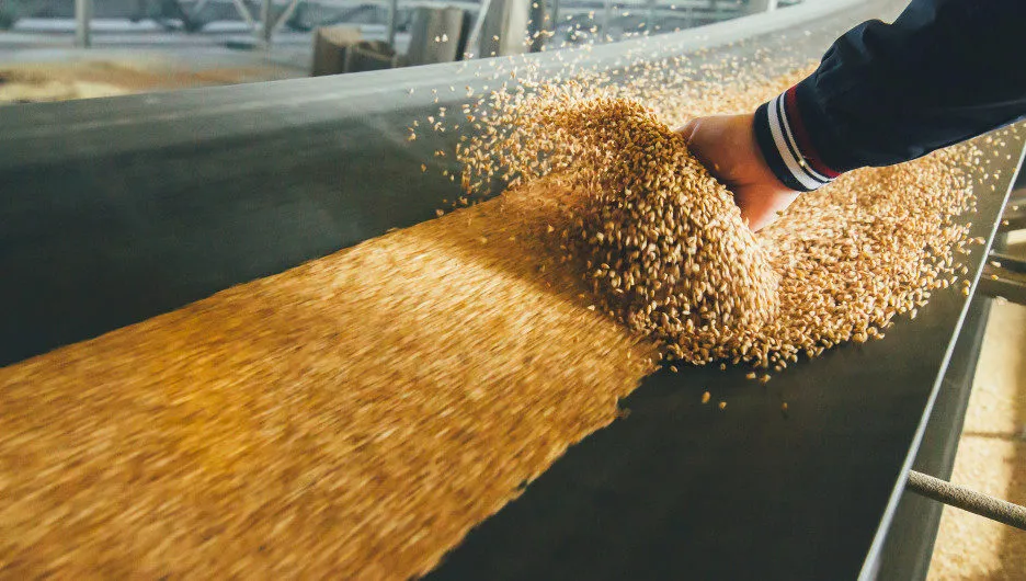 фотография продукта Пшеница 2 класса - поставки в Китай 