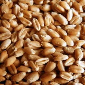 фотография продукта Пшеницу 3,4,5 класс
