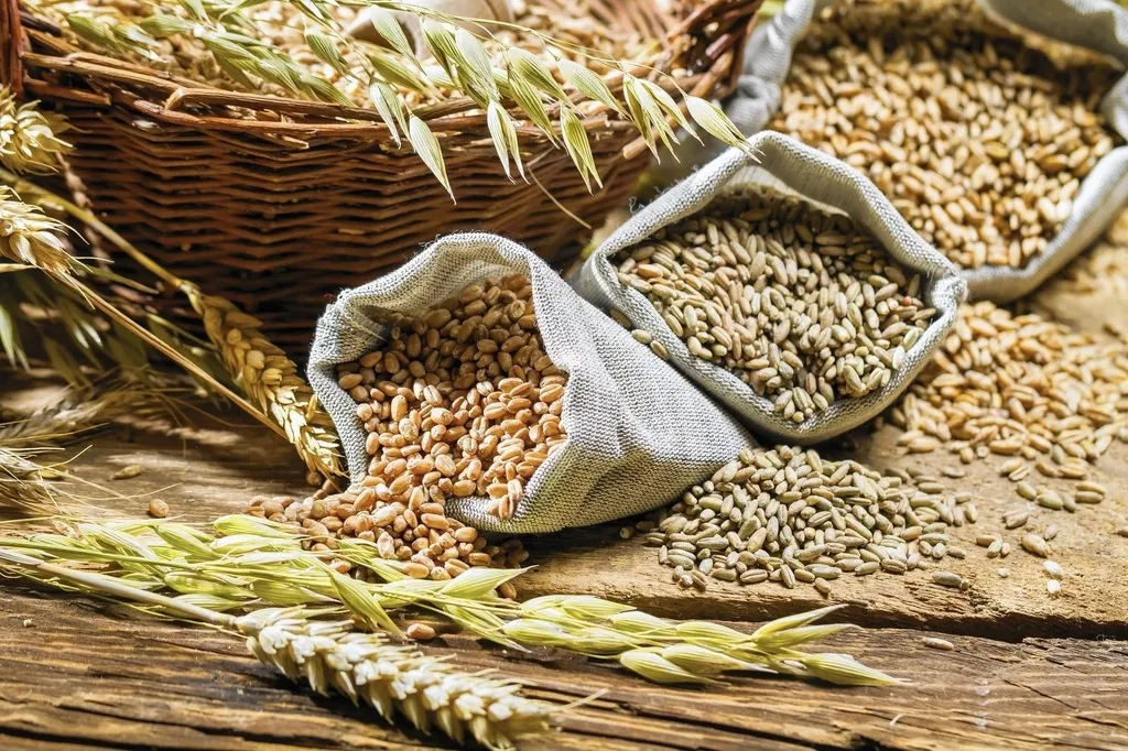 фотография продукта Пшеница, ячмень, кукуруза, овес, горох.