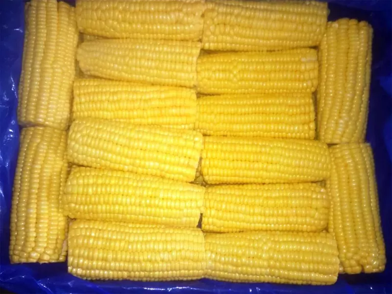 фотография продукта Замороженная сладкая кукуруза в початках